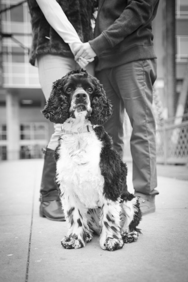 Libbie Holmes Photography, Denver Photographer, Colorado Photographer, Kearney photographer, libby holmes photographer