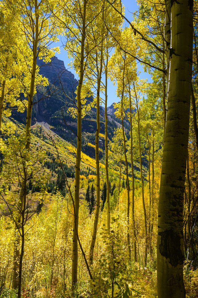 AspenBlog0007