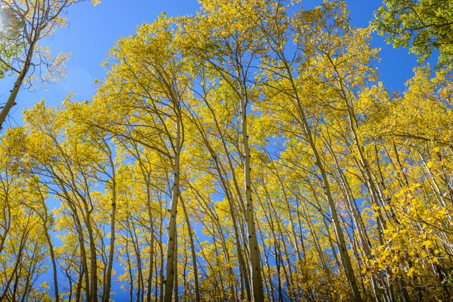 AspenBlog0008