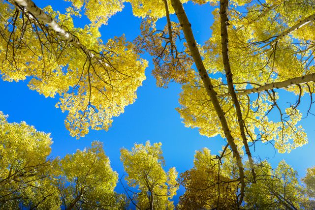 AspenBlog0010