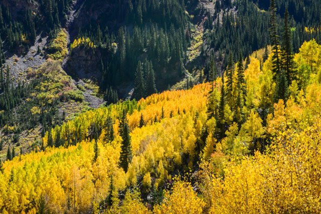AspenBlog0012